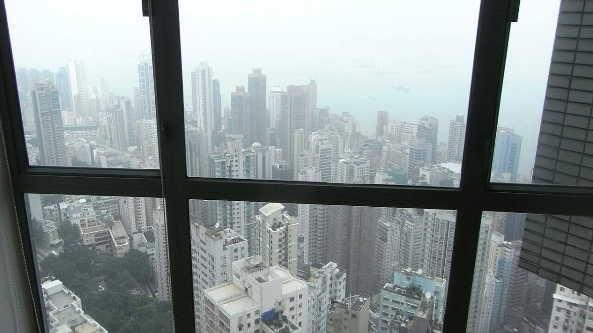 Вид из окна