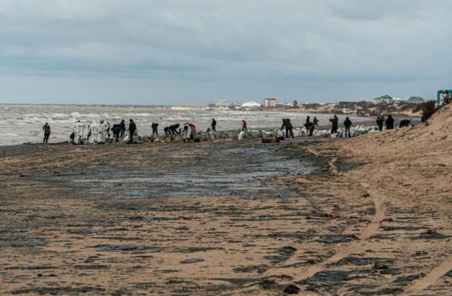 Эколог о разливе мазута в Черном море: экосистема восстановится