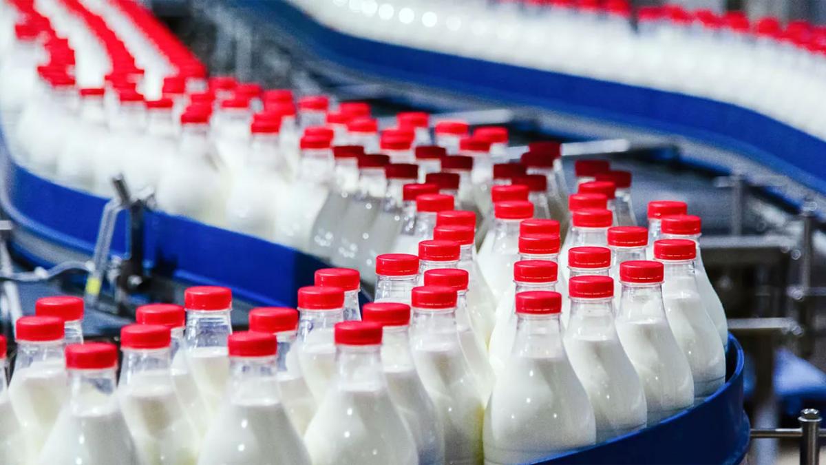 Молоко Молоко