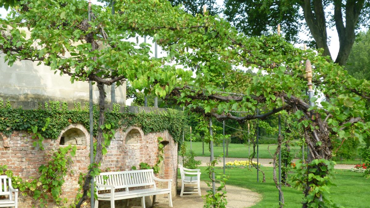 Дворец Шарлоттенхоф, Потсдам, Германия