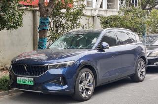 Voyah Free стал самым продаваемым подключаемым гибридом в России