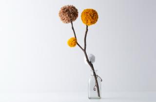 Листья опали, стебли увяли — но я не выбросил: теперь в доме зелень круглый год