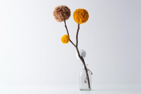 Листья опали, стебли увяли — но я не выбросил: теперь в доме зелень круглый год