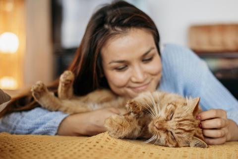Профессор Дэниел Миллс: кошки не менее социальны, чем собаки