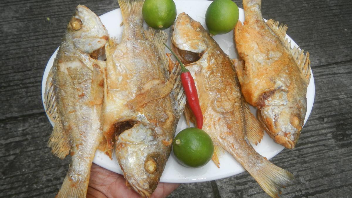 жареная рыба