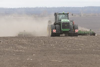 Bloomberg: драйвером мирового роста цен на пшеницу стала непогода в РФ
