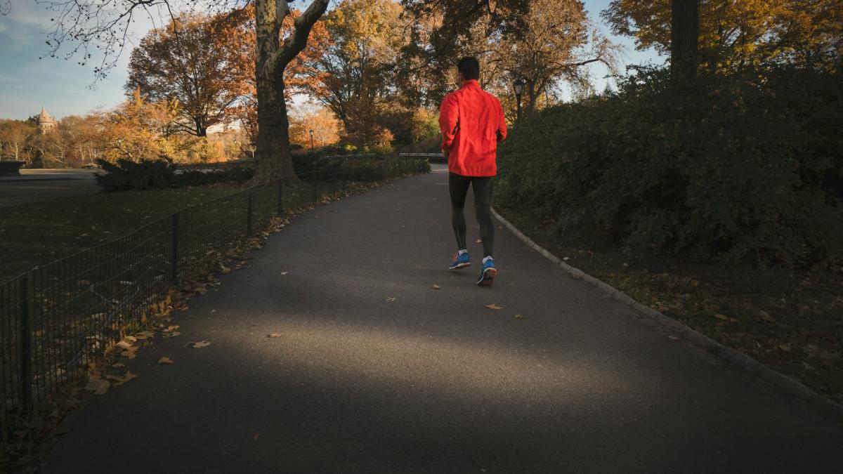 Утренняя пробежка на природе