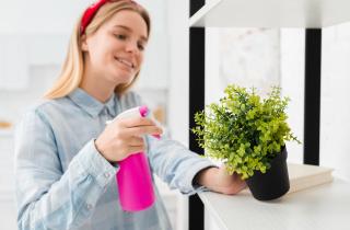 Правильный полив предотвращает гниение корней — агроном Ирина Соколова