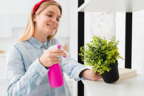 Правильный полив предотвращает гниение корней — агроном Ирина Соколова