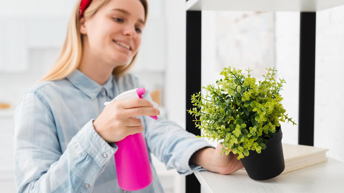 женщина опрыскивает растение