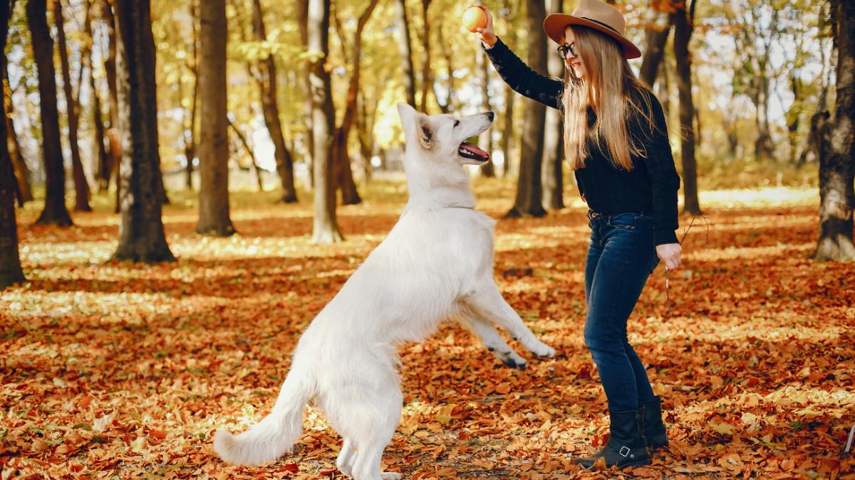 Девушка играет с собакой в осеннем саду
