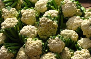 Цветная капуста укрепляет иммунитет и улучшает пищеварение — врачи