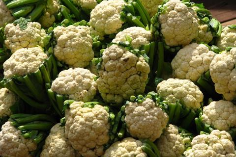 Цветная капуста укрепляет иммунитет и улучшает пищеварение — врачи