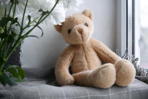 Стирка плюшевых игрушек в домашних условиях: безопасные способы ухода Стирка плюшевых игрушек в домашних условиях: безопасные способы ухода