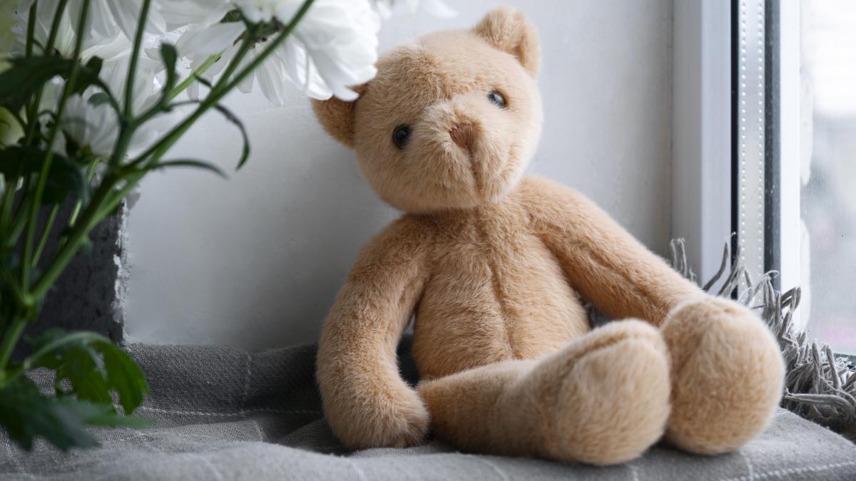 Плюшевый мишка Плюшевый мишка