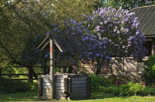 Удаление почвы при копке колодца упрощает дальнейшую переработку грунта — Сад и огород