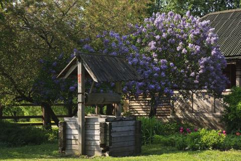 Удаление почвы при копке колодца упрощает дальнейшую переработку грунта — Сад и огород