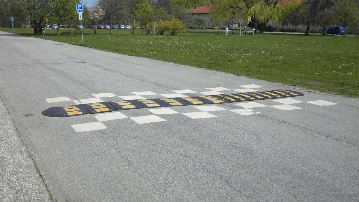 Искусственная неровность Искусственная неровность