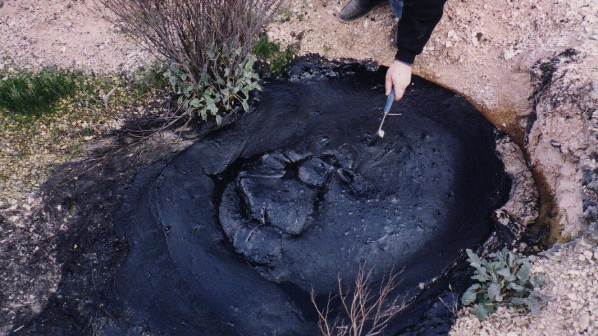 McKittrick Tar Seep North of Highway 58 McKittrick Tar Seep North of Highway 58
