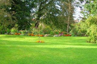 Газон выглядит уставшим после зимы — есть способ вернуть плотность без перекопки