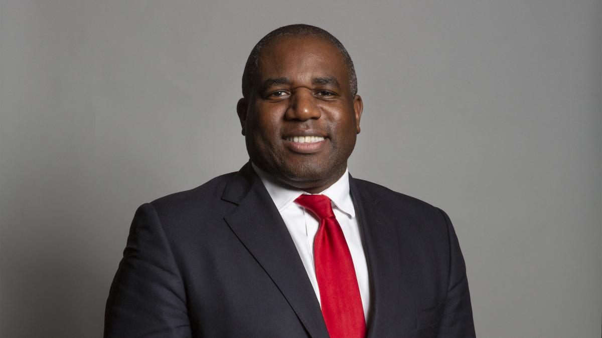 Official portrait of Rt Hon David Lammy MP crop 1