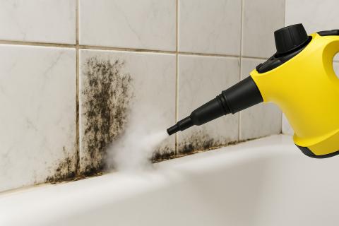 Избавилась от плесени на плитке всего за 30 минут — проверенные методы