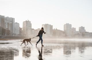 Владельцы собак тратят больше калорий во время прогулок — Хизер Маккомб