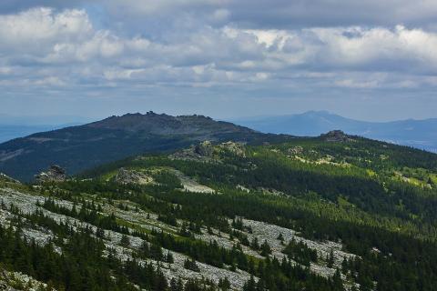 Леса Центральной Европы испытали ранние вырубки по данным древесины — PNAS