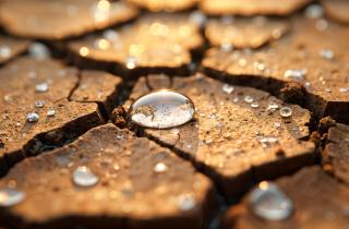 Глобальное потепление усиливает риск длительных засух — Nature Communications