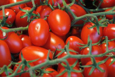 Невероятные заготовки из томатов: раскройте 5 секретов летнего вкуса в банке