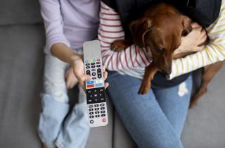 Собаки не любят, когда их гладят незнакомцы — доктор Александра Горовиц