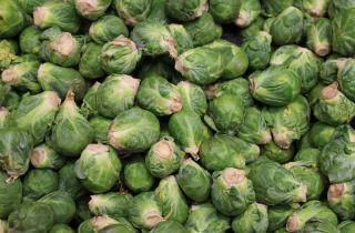 Оставила брюссельскую капусту под снегом — а утром не поверила глазам