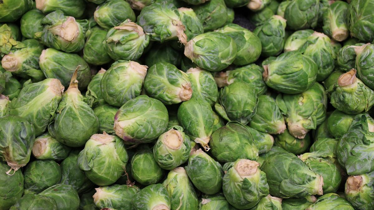 Брюссельская капуста