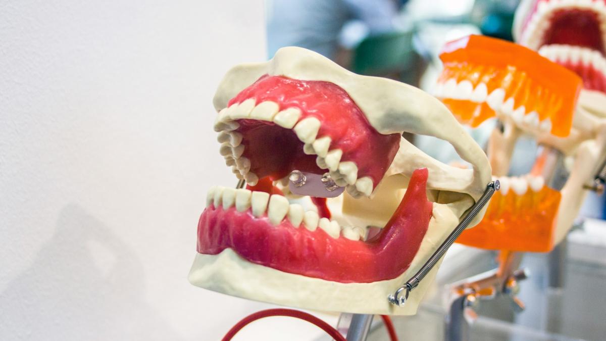 Стоматологический макет