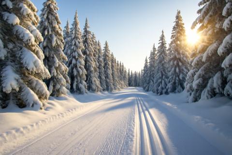 Телефон может позвонить в службу 112 без сим-карты и сети — МЧС