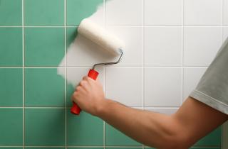 Делаем выкрас: Евгения Зимина рассказала, как избежать ошибок при выборе цвета краски