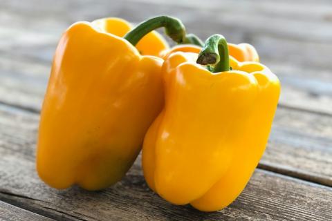 Подводные камни при проращивании перцев: как ошибки в поливе могут погубить будущее на вашем огороде