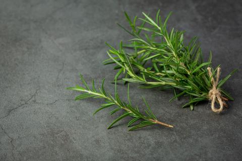 Как черный перец и розмарин улучшают здоровье и вкус — эксперты раскрывают секрет