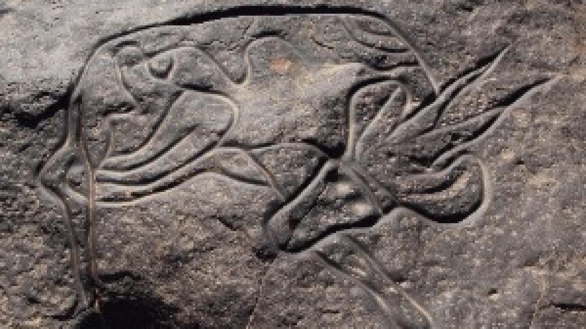 Sleeping Antelope Tin Taghirt Sleeping Antelope Tin Taghirt