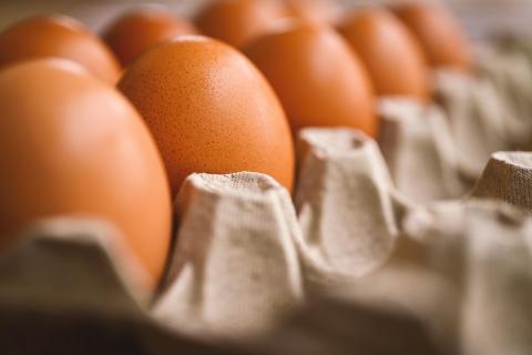 В России подешевели яйца