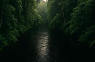 Сдвиг ветров изменил климат в Южном полушарии после ледникового периода — доктор Зои Томас