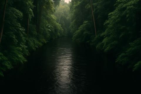 Сдвиг ветров изменил климат в Южном полушарии после ледникового периода — доктор Зои Томас