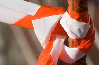 В Тюменской области введен карантин по бешенству в поселке Новоселезнево