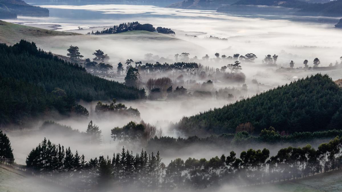 Вид с перевала Маккуинс на гавань Литтелтон, Новая Зеландия