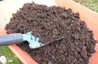 Компостированный навоз повышает плодородие почвы и безопасность урожая — советы Андрея Ковалёва