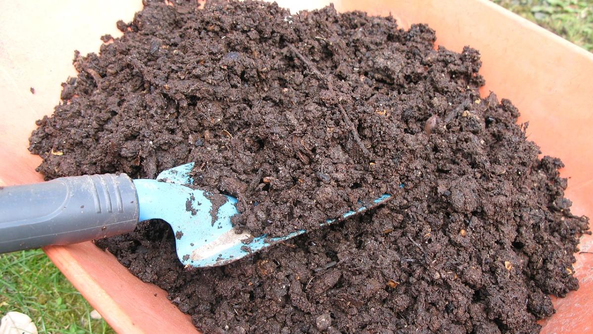 Навоз Навоз