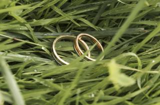 В Ялуторовском районе 37 пар получили медали за крепость семьи — Центр культуры