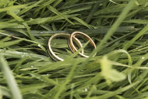 В Ялуторовском районе 37 пар получили медали за крепость семьи — Центр культуры