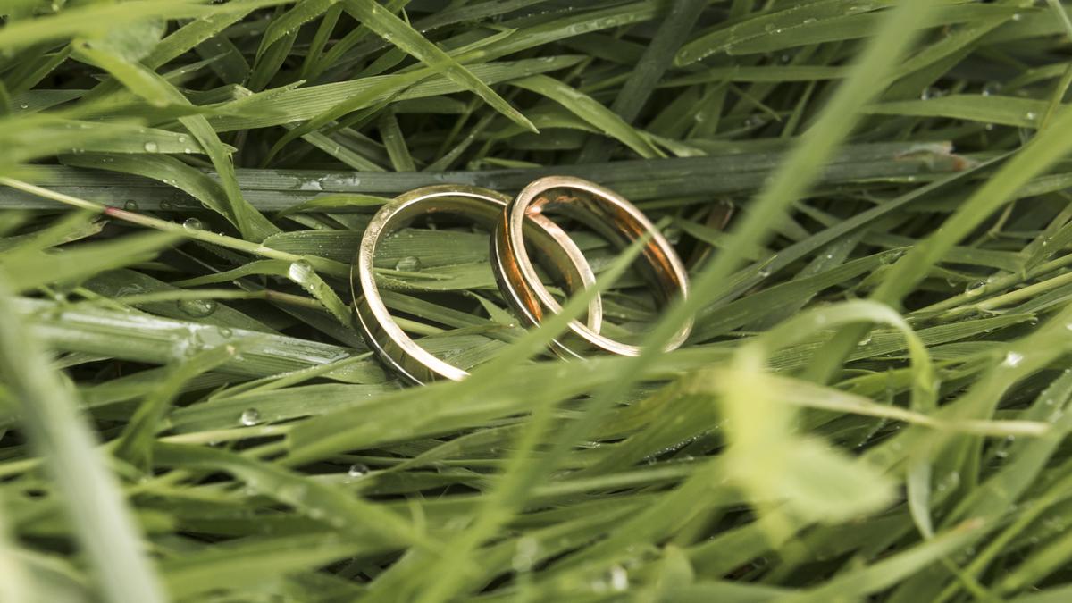 Обручальные кольца в траве