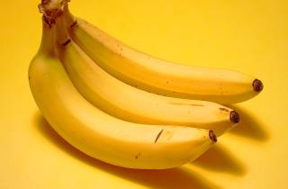 Спелые бананы повышают уровень серотонина у питомцев — Patas da Casa